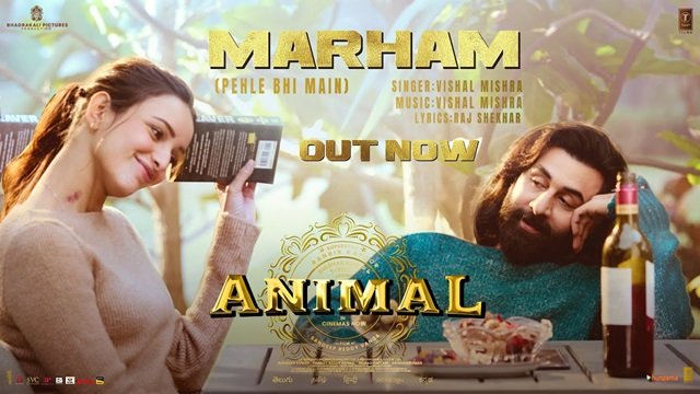 Marham Lyrics English Translation – Vishal Mishra | Animal